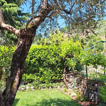 Il Giardinetto *